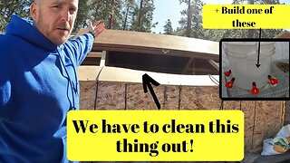 New Chicken Waterer Build & Brooder Clean out!