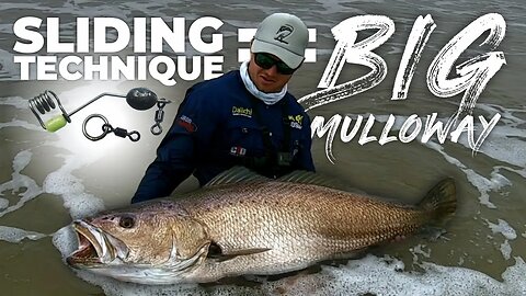 SLIDING BAITS TO CATCH BIG KOB/MULLOWAY! GIANT MULLOWAY OF SOUTH AFRICA! SLIDE BAITING LIVE BAIT!