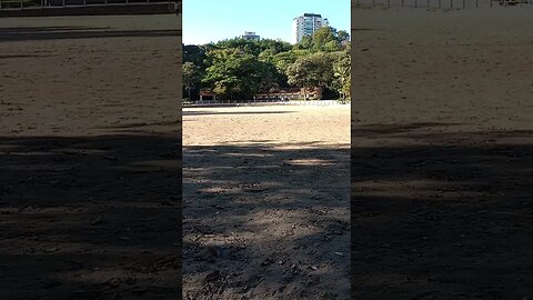 Vejaj o Parque Doutor Fernando Costa Parque da Água Branca Zona Oeste da Capital São Paulo