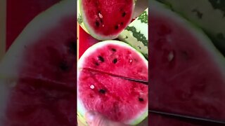 Harvesting the JUICIEST WATERMELON! ❤️🍉💦 #shorts #viral ##trending #garden