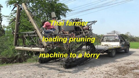 Thai farmer loading pruning machine on a lorry