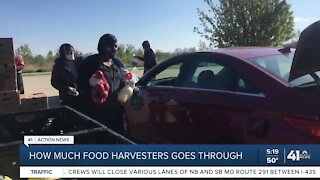 How much food Harvesters goes through
