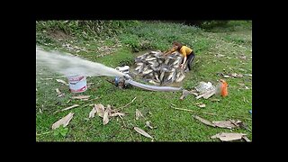 Exciting fishing | Using a large capacity pump to pump natural lake water, catch many fish Ep15