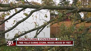 Tree falls during storm, misses house by feet