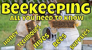 Beekeeping for Beginners - All You Need to Know to Start