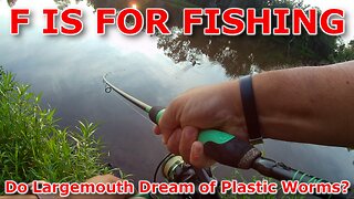 Do Largemouth Dream of Plastic Worms?