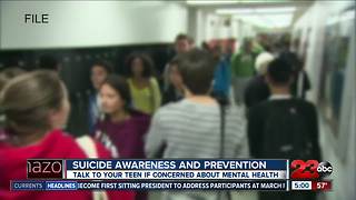 Call for more suicide prevention in wake of teenager's suicide death