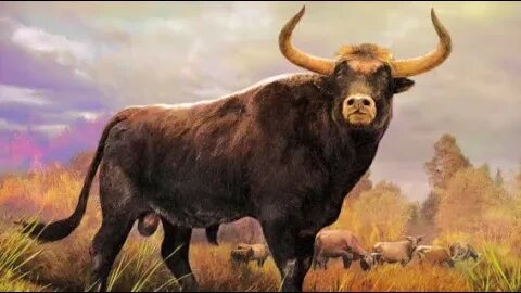 The De-Extinction of the Aurochs