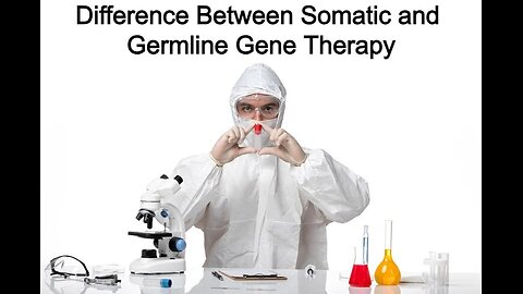 Difference Between Somatic and Germline Gene Therapy