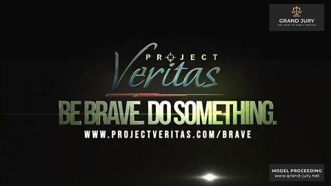 Grand Jury - 20/02/2022 - Jour 5 - Le Dr. Reiner Fuellmich présente une courte vidéo de "Project Veritas" et commente par la suite