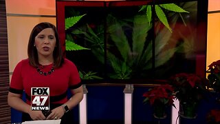 Lansing prepares for recreational marijuana retail