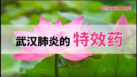 三分鐘視頻： 武漢肺炎的「特效藥」