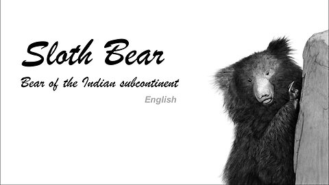 Sloth Bear : The Bear of Indian Subcontinent (ENGLISH)