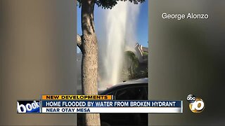 Home flooded by water from broken hydrant