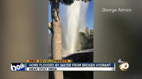 Home flooded by water from broken hydrant