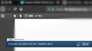 Data shows 324 people have died from COVID-19 in Tampa Bay counties | I-Team