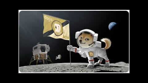 Crypto Party on the Moon with Bitcoin Senpai