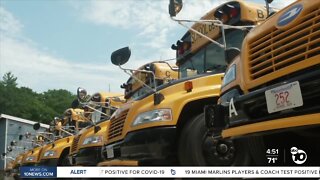 What to do with school buses?