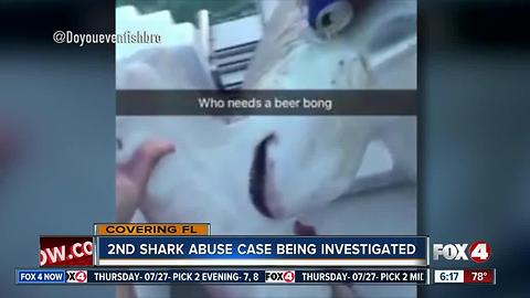 FWC investigating second shark abuse video that shows beer getting poured into hammerhead's gills