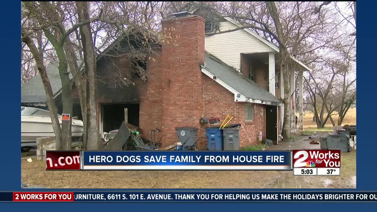 Dogs save family from house fire