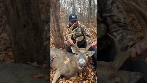 Big Buck Located, Drone Deer Recovery