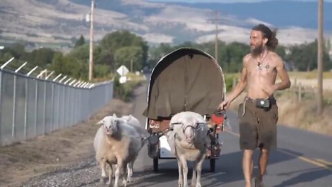 Meet The Nomad Prepping For Doomsday With Sheep - World Wide Waste - Insider Business