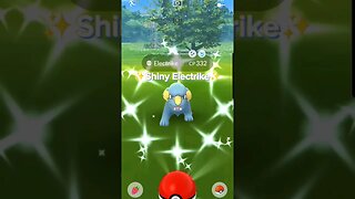 #shiny #electrike #pokemon #shinypokemon #pokemongo #shinyhunting #foryou #fyp #fypシ #followformore