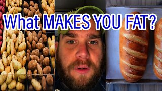 Which CARBS make you FAT which CARBS make you SKINNY?