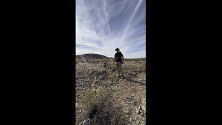 Ruger wrangler 22lr in the Desert