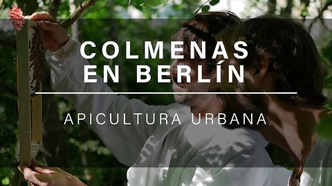 Berlín, la capital de la apicultura urbana