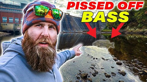 This RIVER DAM Held The SECRET To CATCHING FISH ALL DAY!