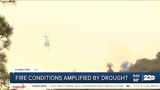 Drought conditions amplify wildfire concerns
