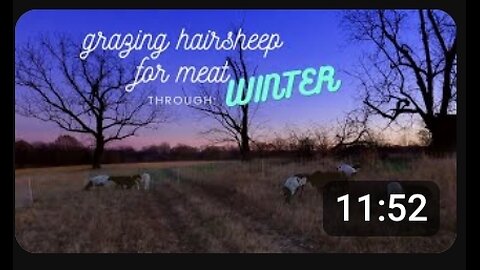 How To: Raise forage based Hairsheep through Winter.