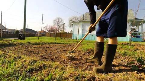 Preparing GARDEN SOIL for Planting