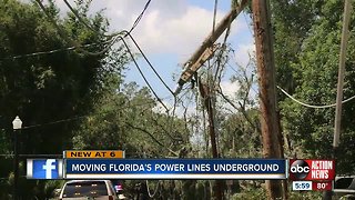 Hurricane-proofing Florida? New state bill could bring in more underground power lines