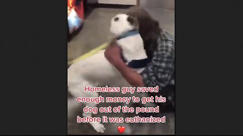 Homeless Guy Saved Enough Money To Get His Dog Out of the Pound