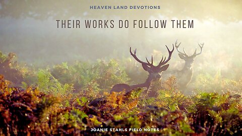 Heaven Land Devotions - Their Works Do Follow Them