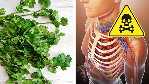 Flush Out Toxic Heavy Metals From Your Body With This Herb!