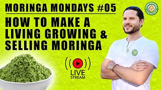How To Make A Living From Moringa | Niche Marketing High Demand For Local Suppliers