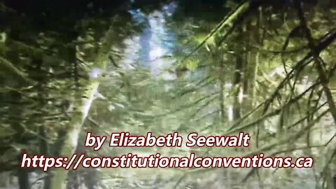 Natural Law by Elizabeth Seewalt