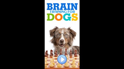 Brain Training For Dogs - Adrienne Farricelli's Online Dog Trainer