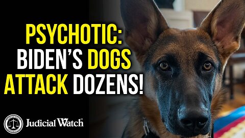 PSYCHOTIC: Biden’s Dogs Attack Dozens!