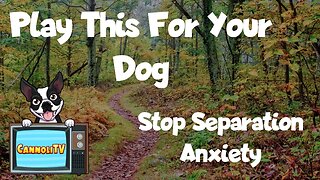 Play This for your dog to Stop Separation Anxiety