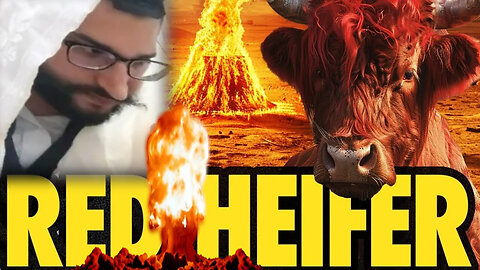 BIG UPDATE: Red Heifer Sacrifice Today - RED HEIFER CONFERENCE IN HISTORIC SHILOH and Much Much MORE #RUMBLETAKEOVER #RUMBLERANT #RUMBLE The Yanukah Rav Shlomo Yehuda High Priest Of Israel Sacrifice The Sacred Red Cow On the Mount Of Olives