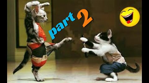 You Laugh You Lose 😅 Funniest Animals 2024😻Part 2 #PetValleyy