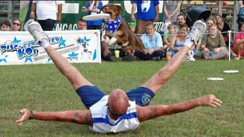 Equipa de frisbee e cão realizam fantástico 'Bottle Cap Challenge'