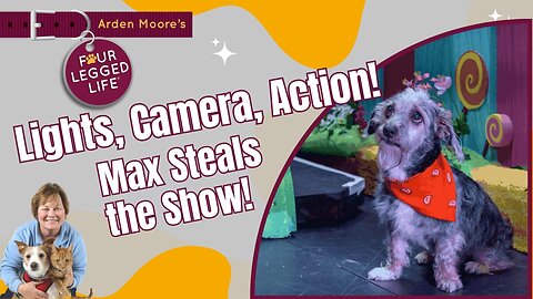 Meet Max the acting dog!