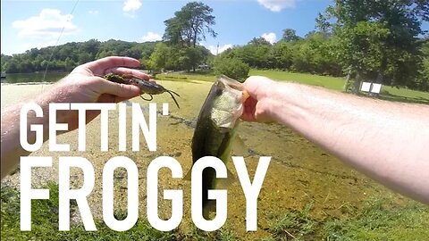 Froggin' and Frog Fishing Tips -- Fishing VLOG