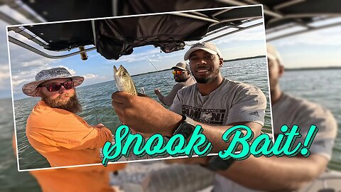 Beers, Bros, & Bees | Late Spring Flats Fishing in Tampa Bay