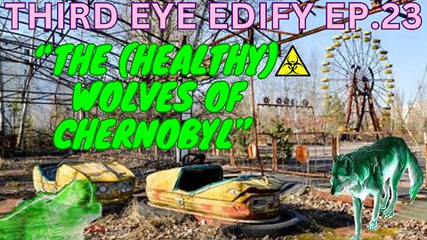 THIRD EYE EDIFY Ep.23 "The (HEALTHY) Wolves of Chernobyl"